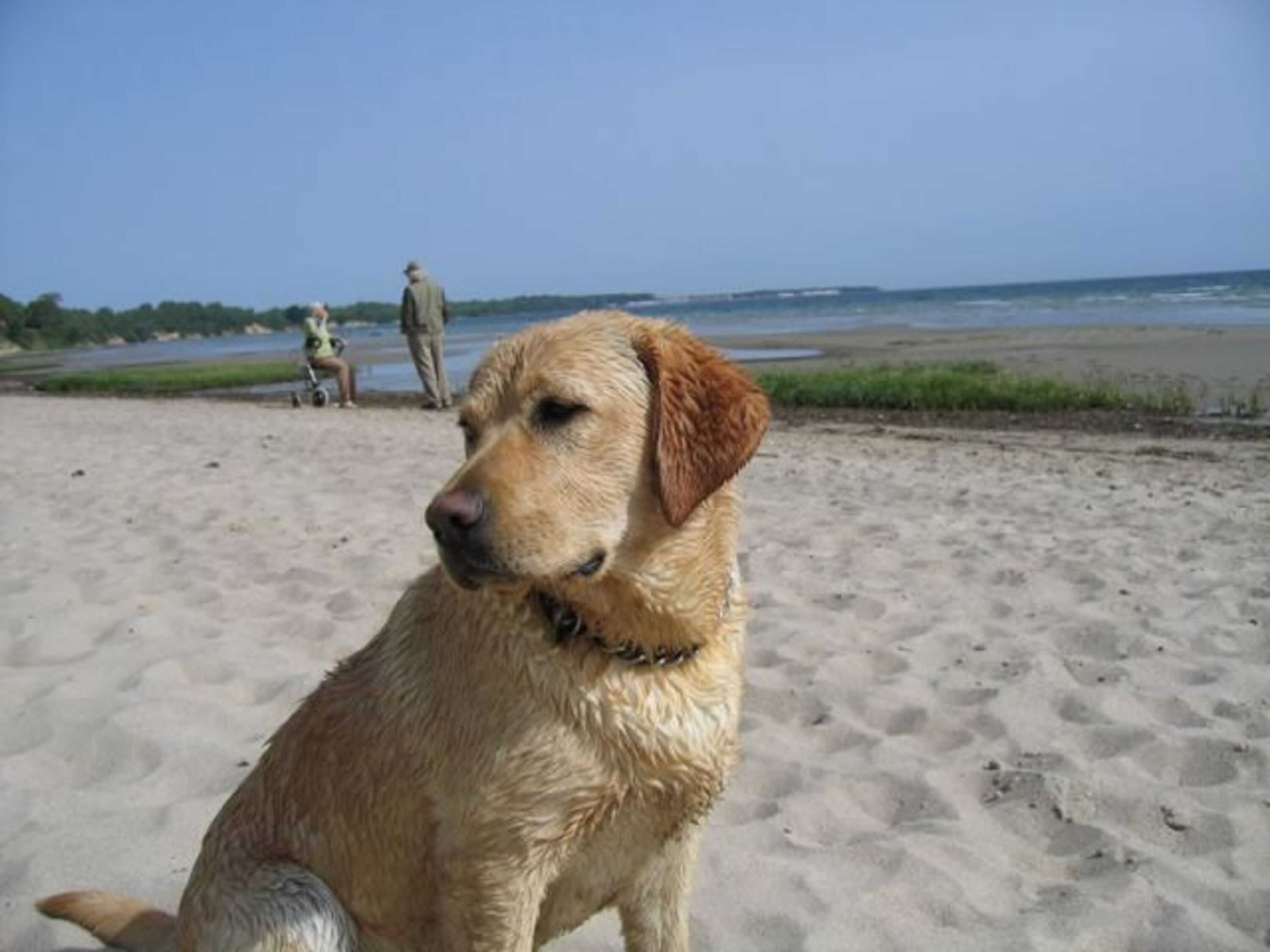 Bild 6