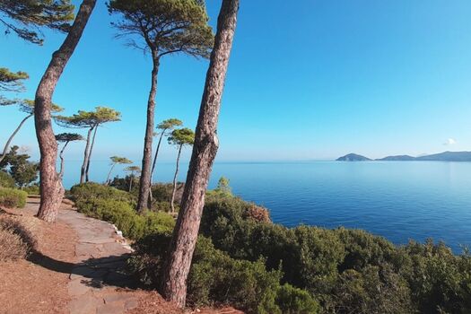 Einzigartige Wanderpfade