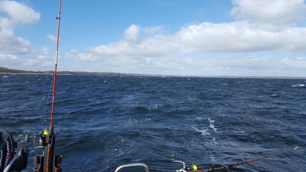 Bootstour auf der Förde
