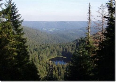 der Schurmsee - loswandern direkt vom Haus aus
