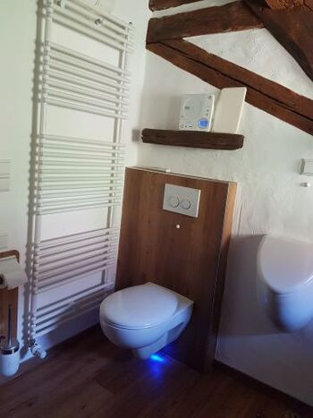WC und Urinal, sowie auch hier eine Musikanlage