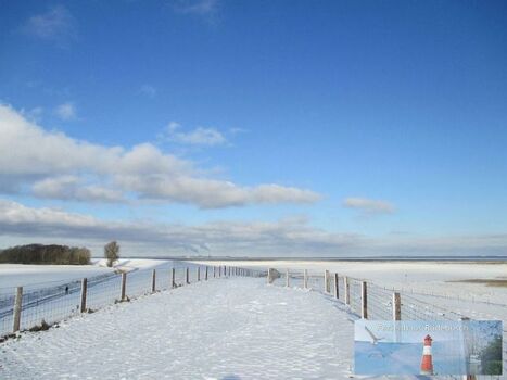 Vareler Hafen im Winter