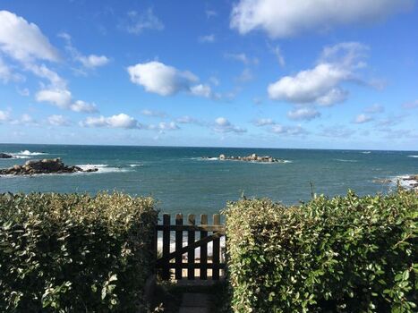 der Ausblick vom Garten aus