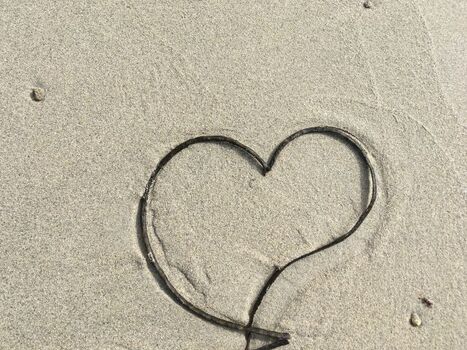 Spiellaunen mit Seegras