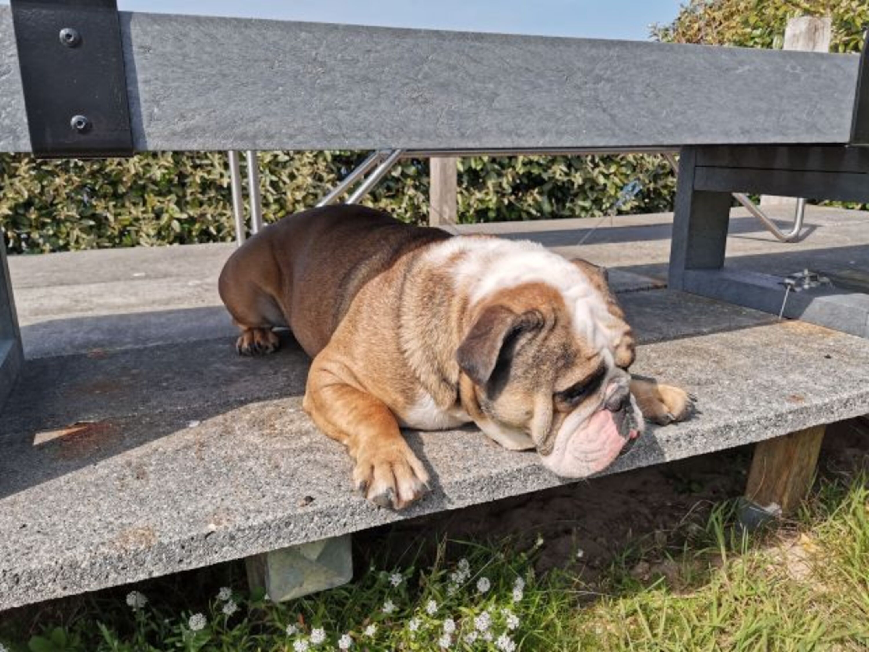 unser Tyson