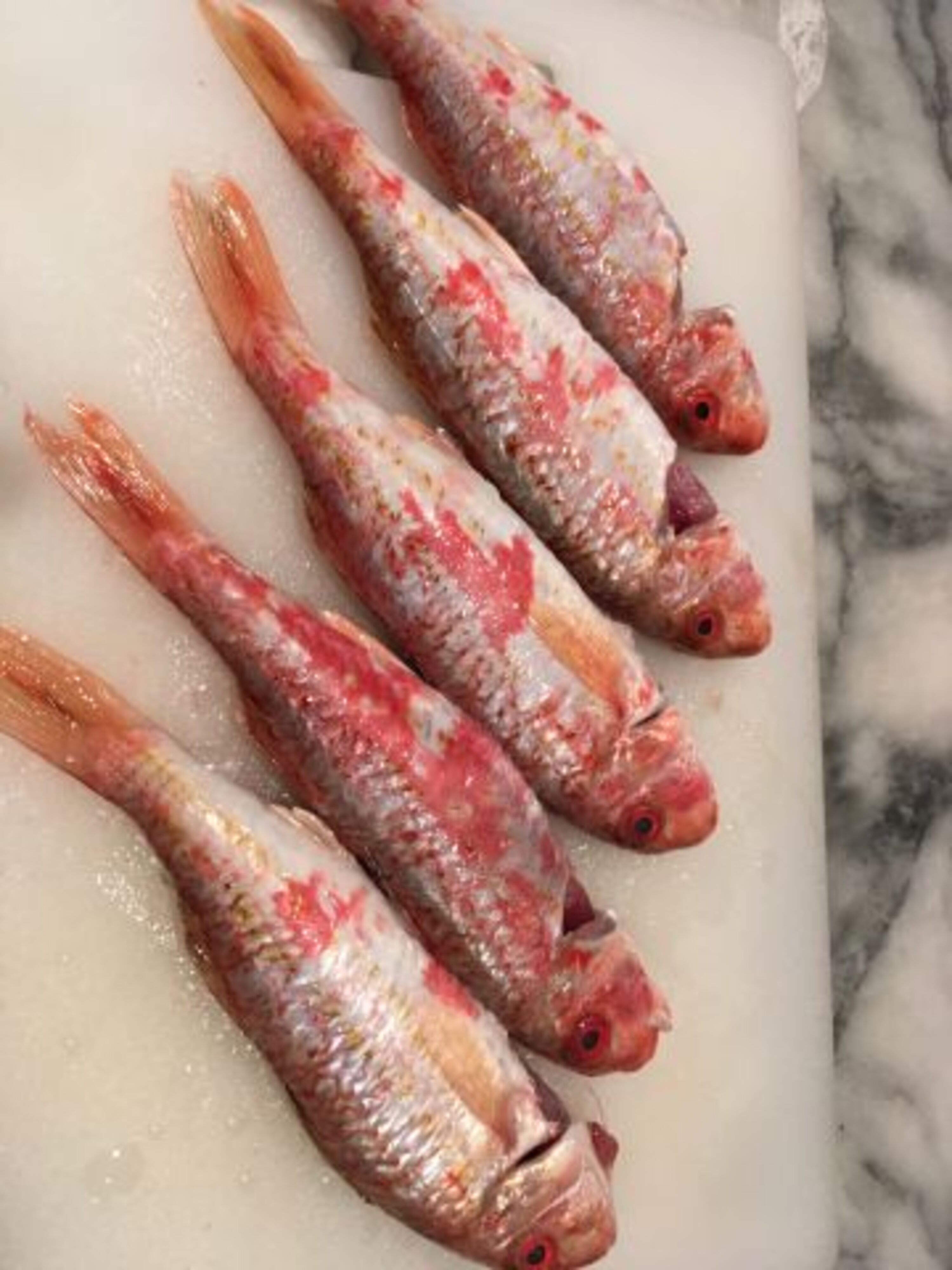 frischer Fisch