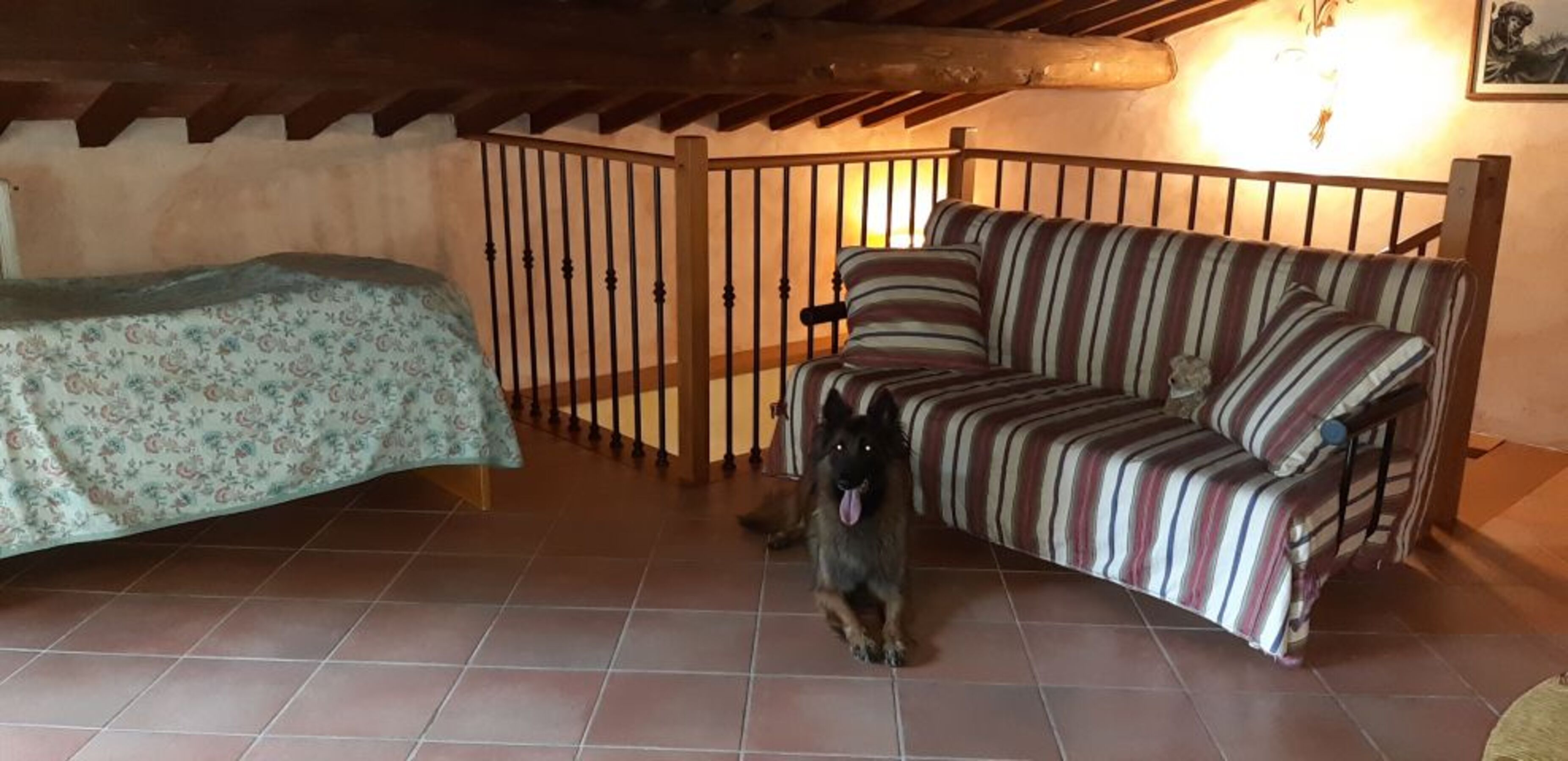Bild 14