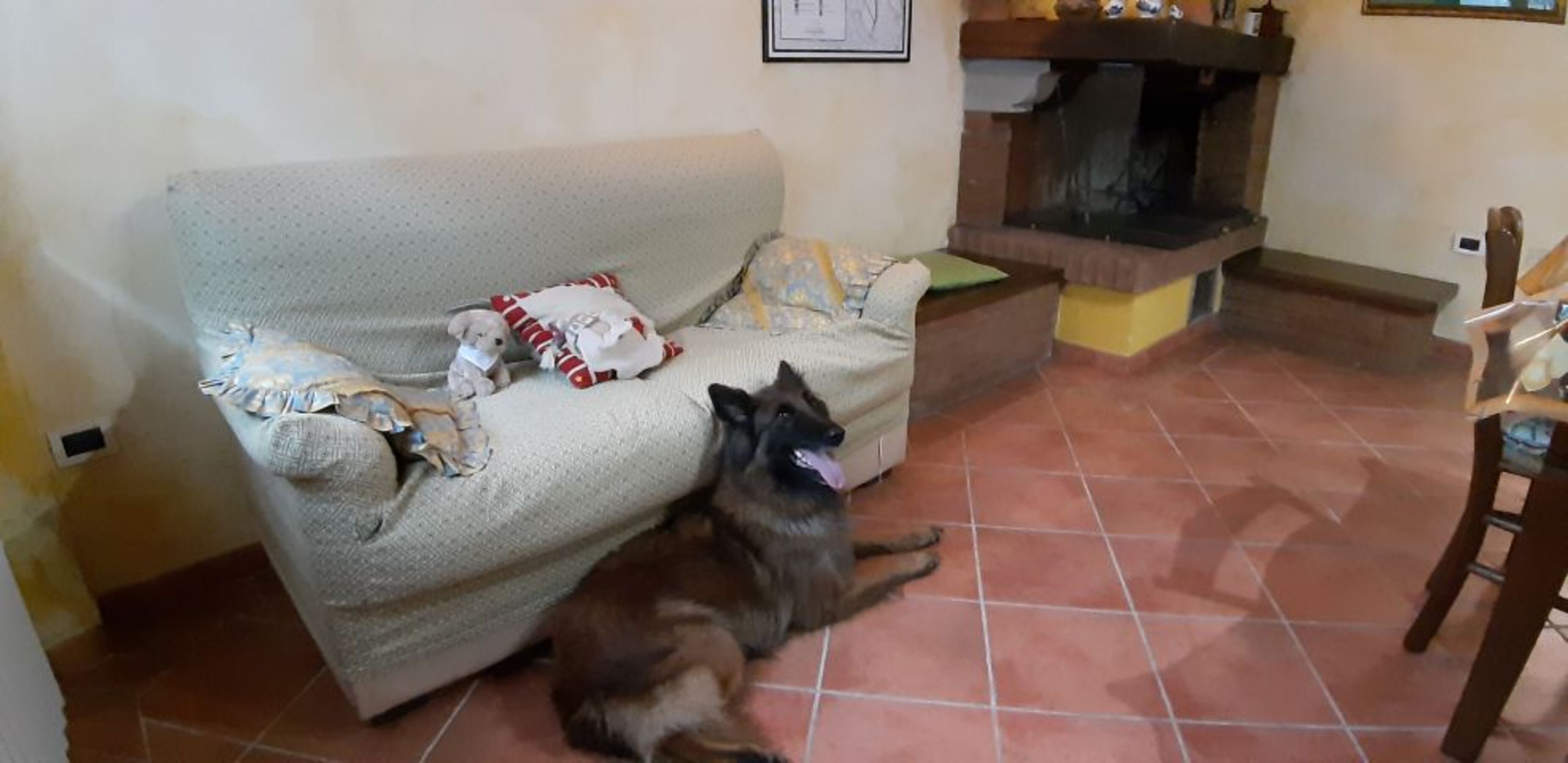 Bild 12