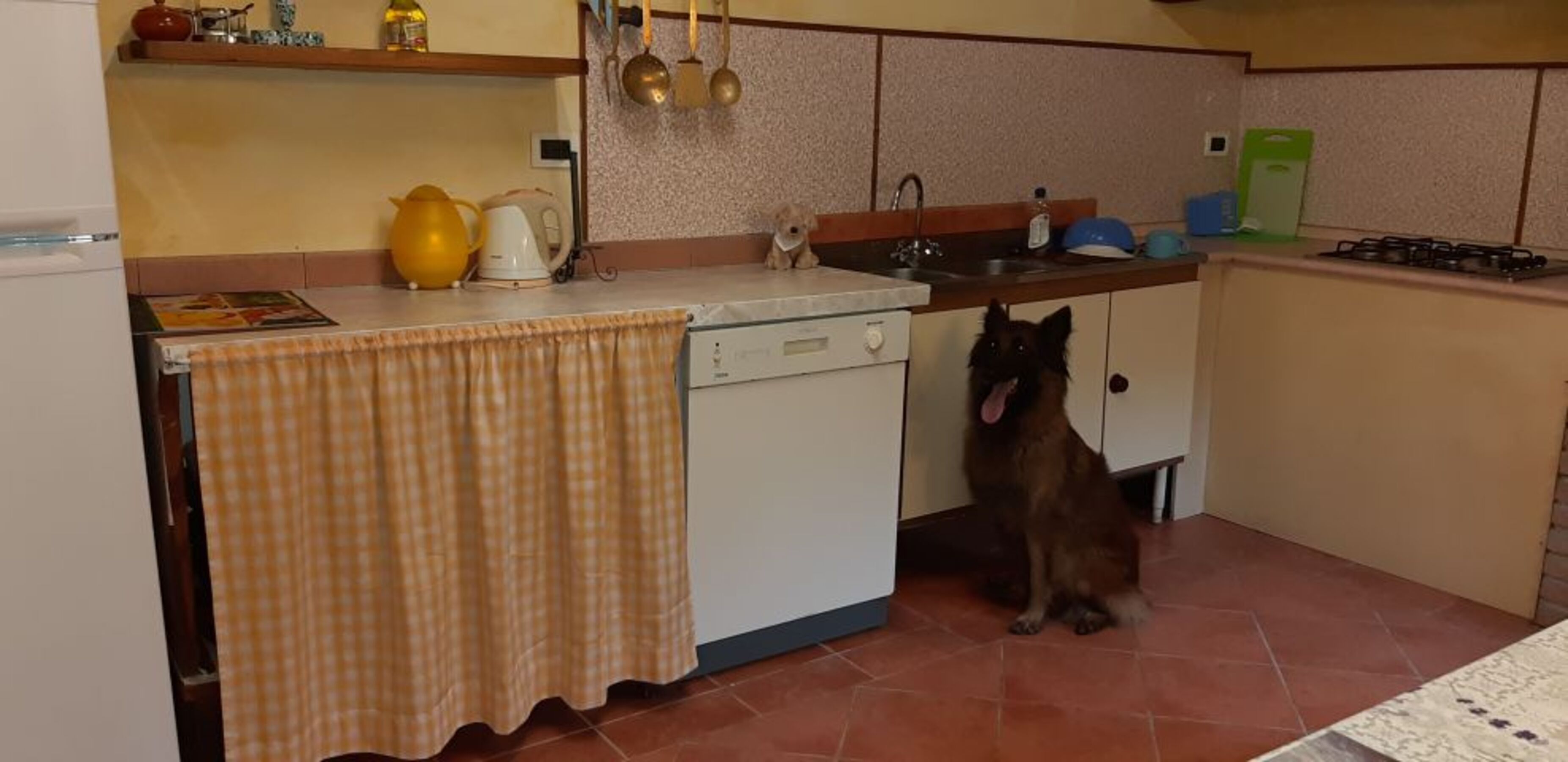Bild 8