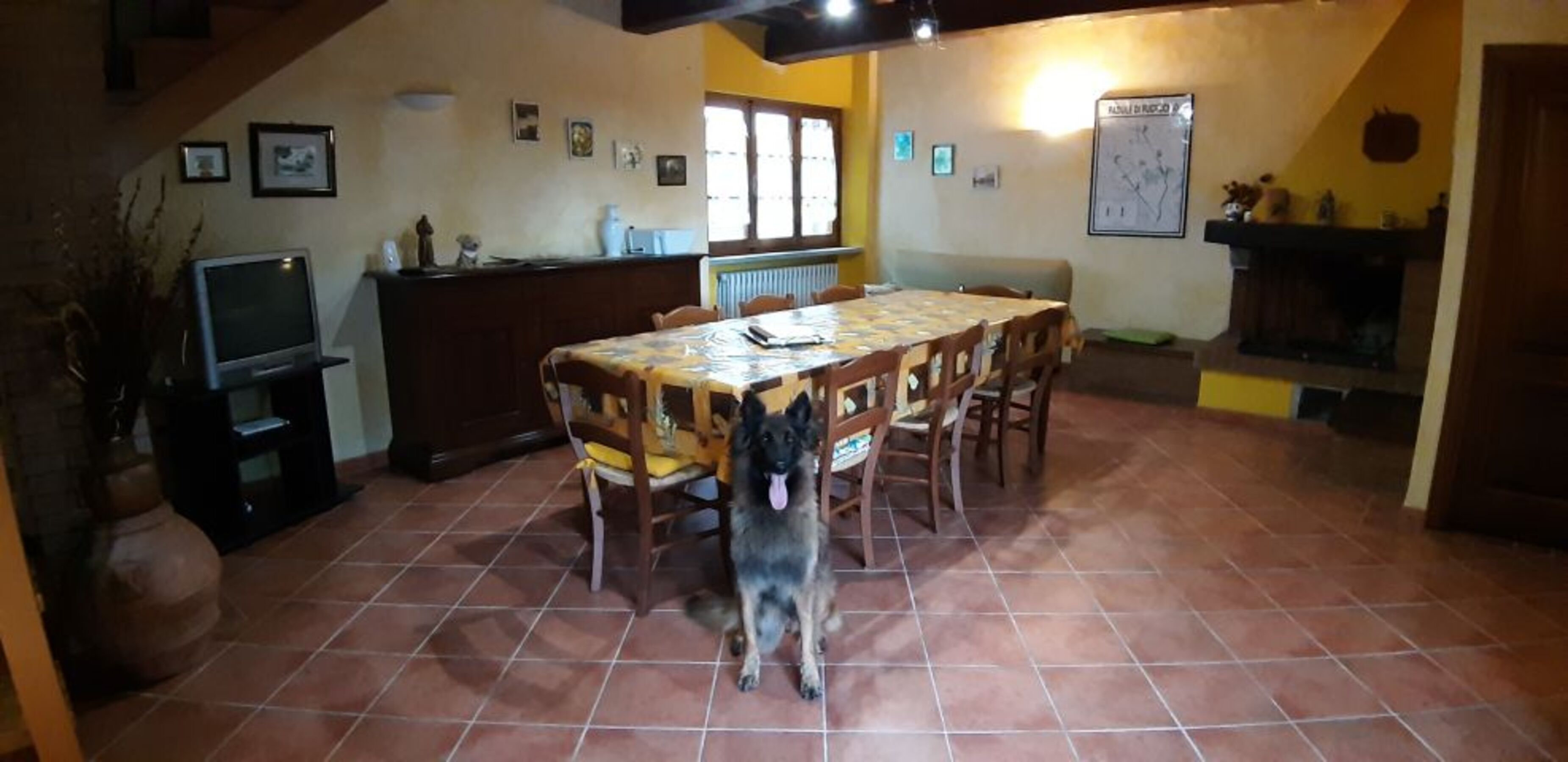 Bild 4