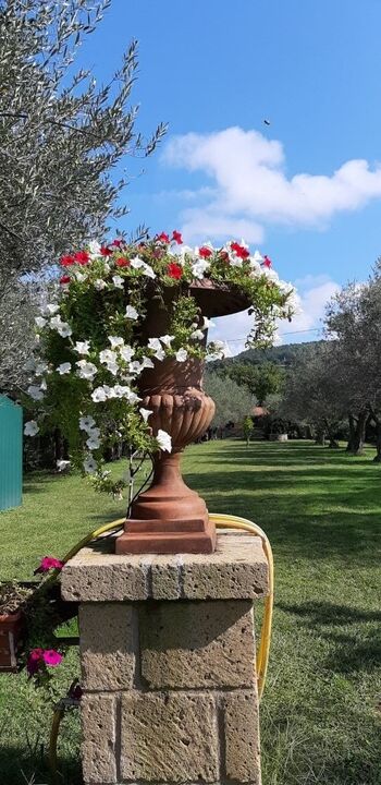 der große Garten vom Ferienhaus