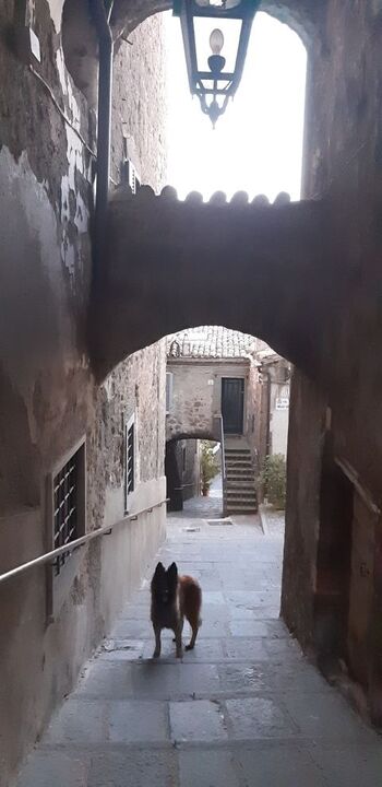 erkundigen Sie die kleinen Gassen