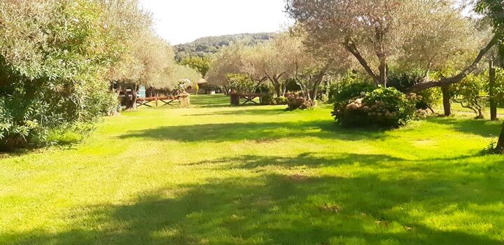 der riesige eingezäunte Garten