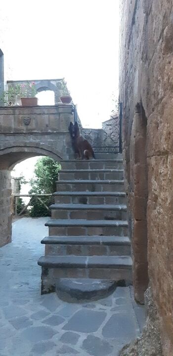 "die sterbende Stadt"