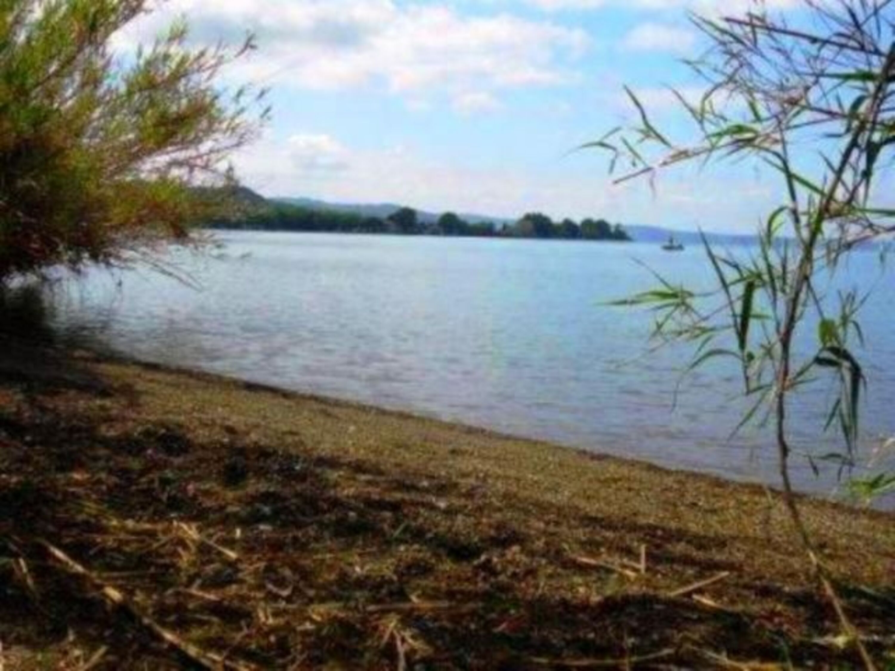 der Bolsenasee