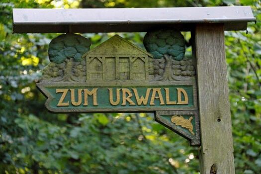 Neuenburger Urwald - Spazierengehen und Einkehren in den gemütlichen "Urwaldhof"