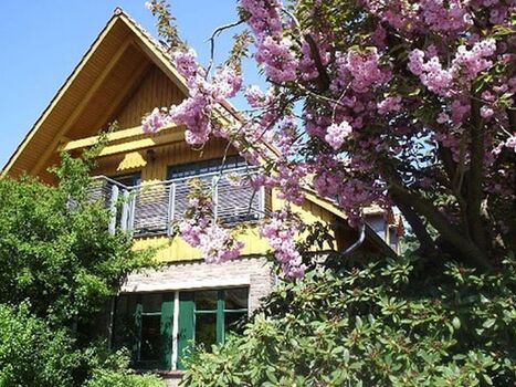 Das schöne Ferienhaus im Frühjahr