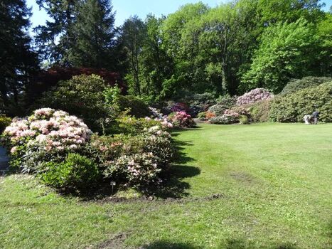 Ausflug zum Rhododendronpark Linswege