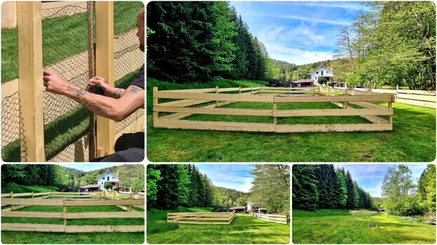 NEU: Sorglos Watzewiese 140cm hoch // inkl. Kleintiergitter bis zum Boden // im Sommer mit 2m Hundepool 