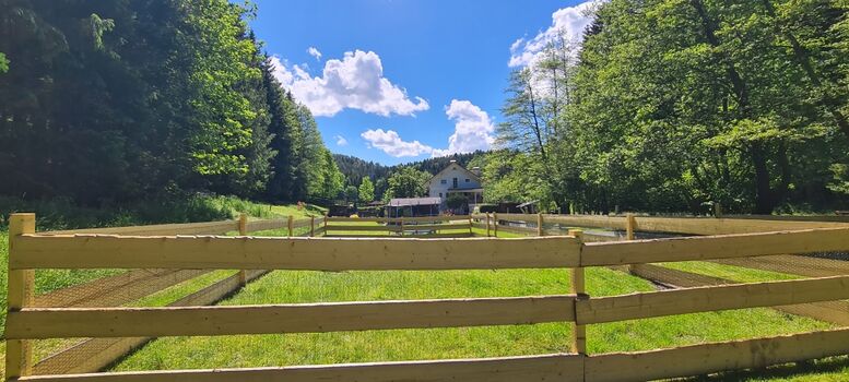 NEU: Sorglos Watzewiese 140cm hoch // inkl. Kleintiergitter bis zum Boden // im Sommer mit 2m Hundepool 