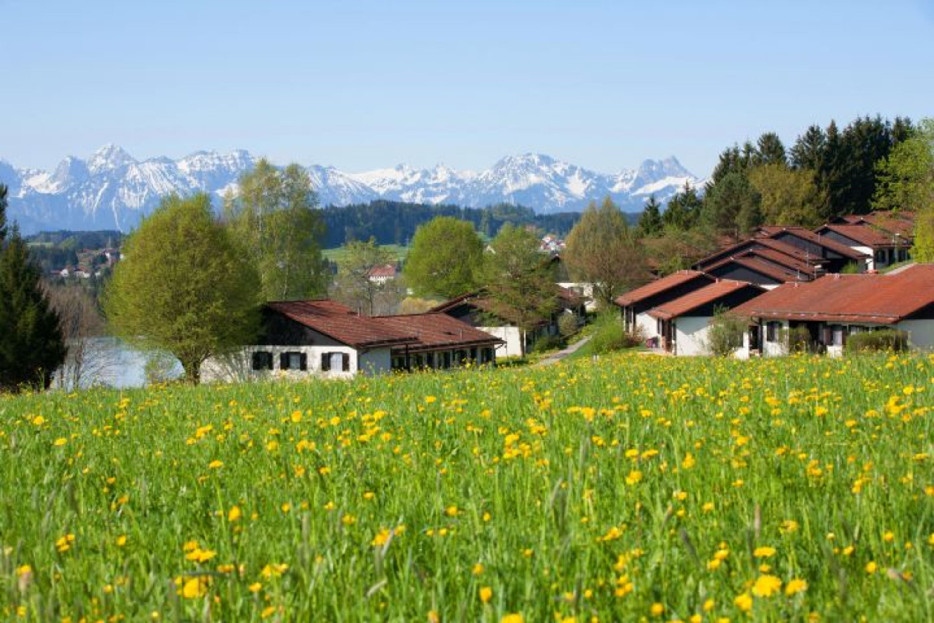 die Ferienanlage