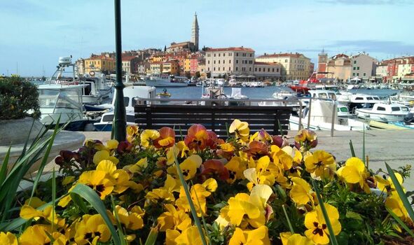 Rovinj