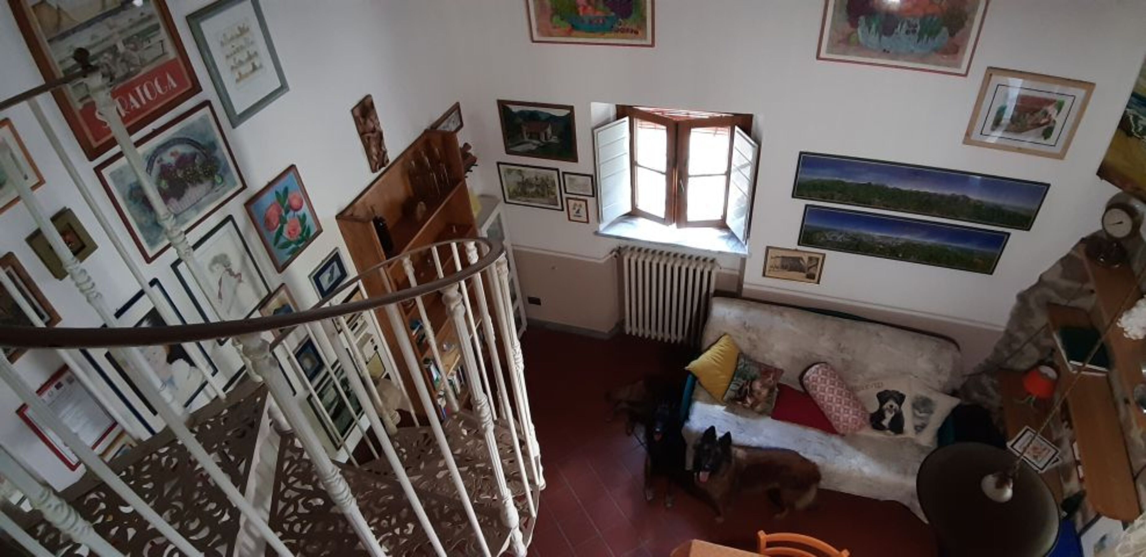 Bild 9