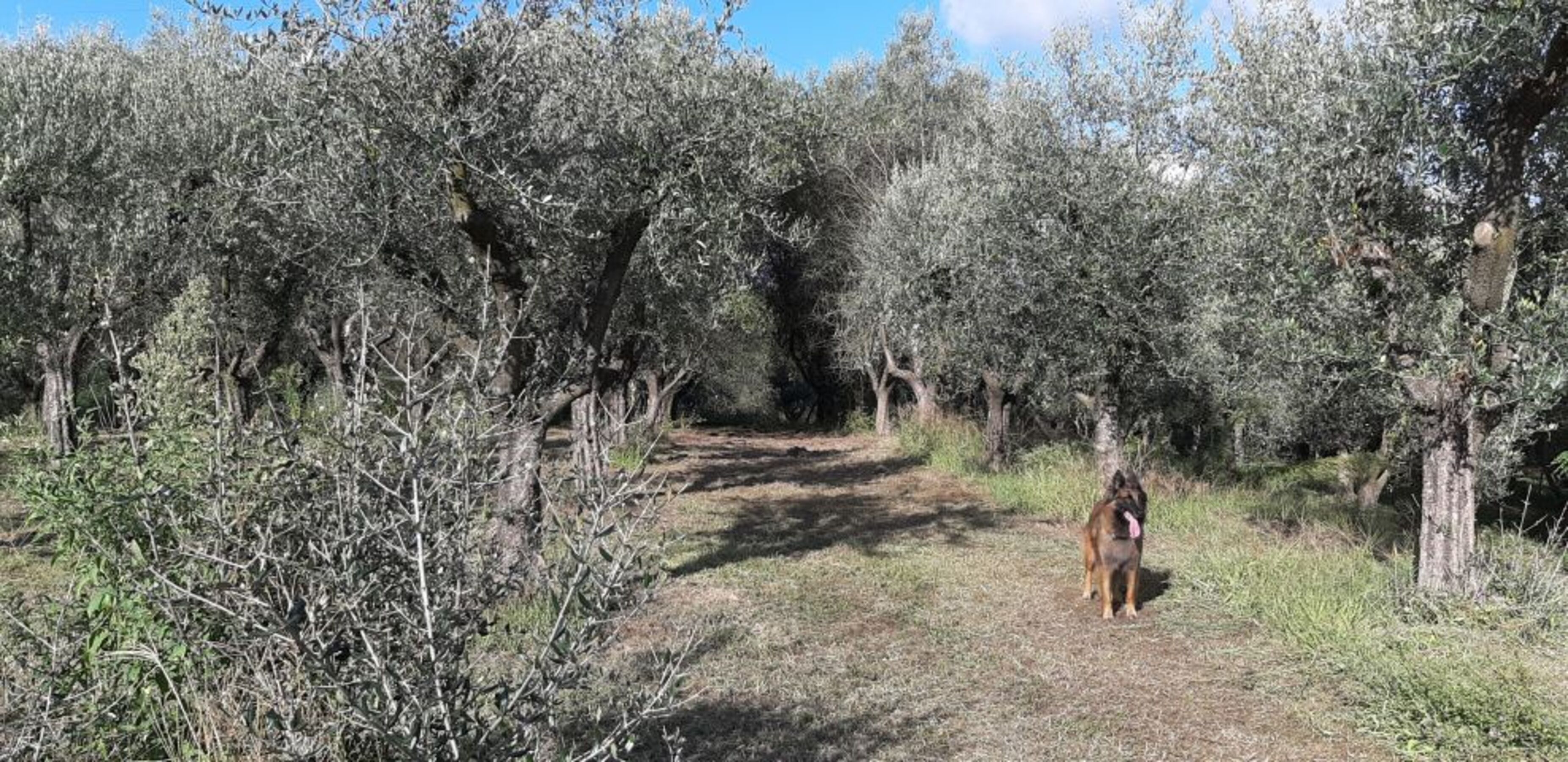 Bild 14