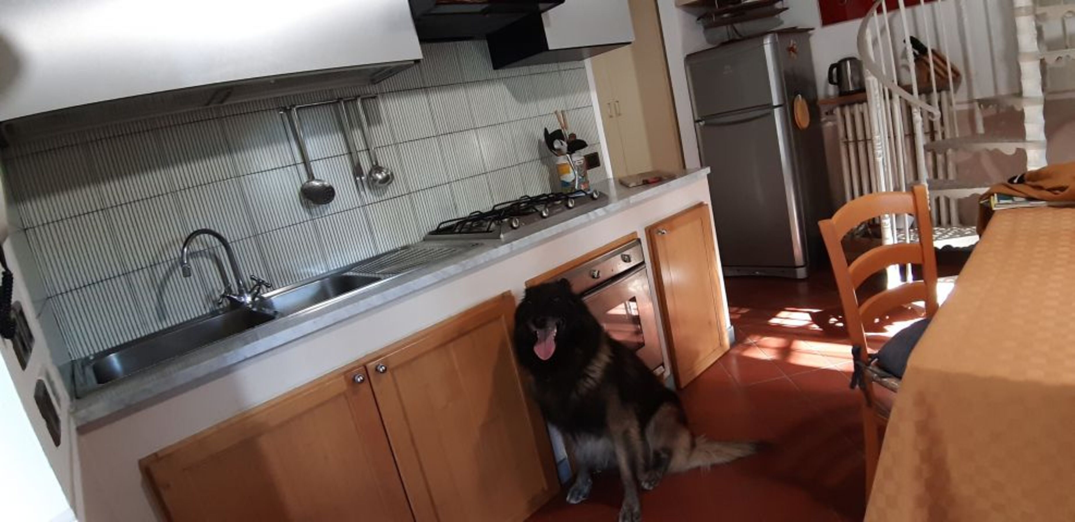 Bild 5