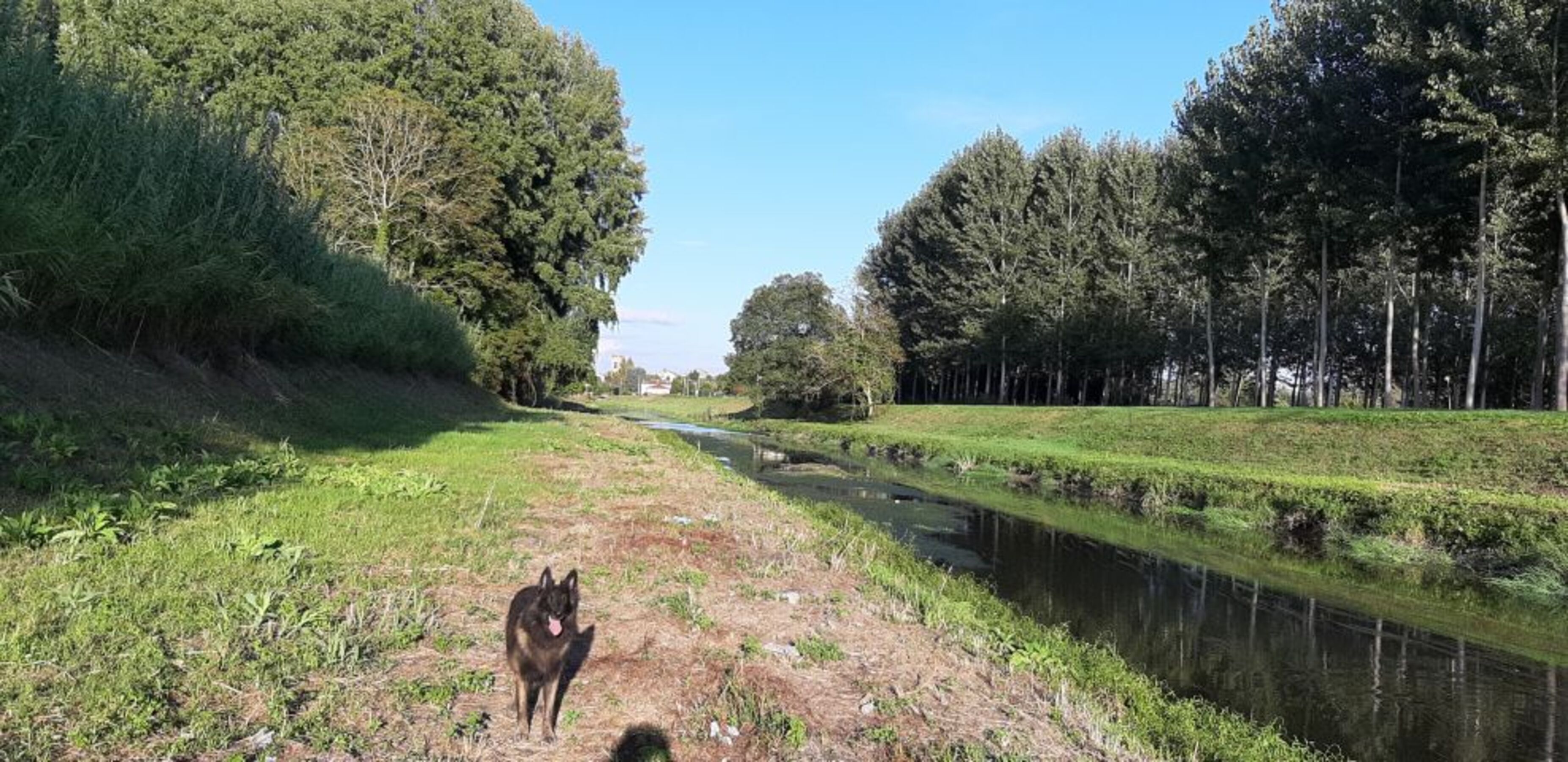 Bild 16