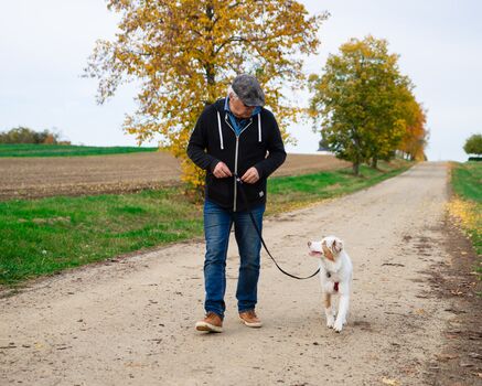 Thierry Eurer Hundetrainer