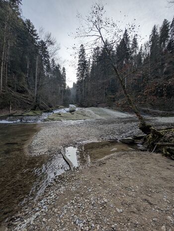 an der "Argen"