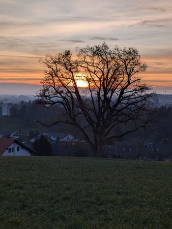 Blick oberhalb des Ferienhauses