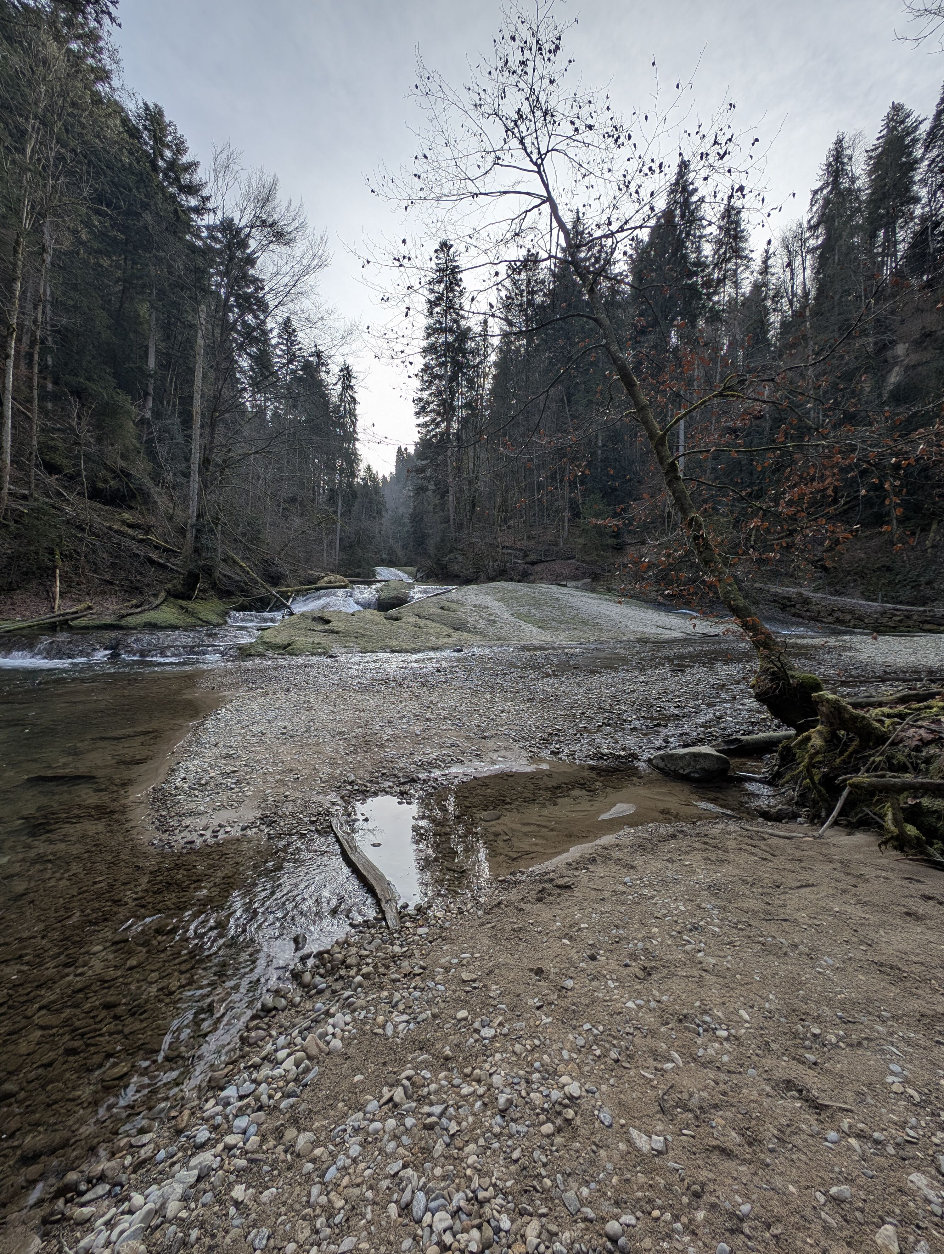 an der "Argen"