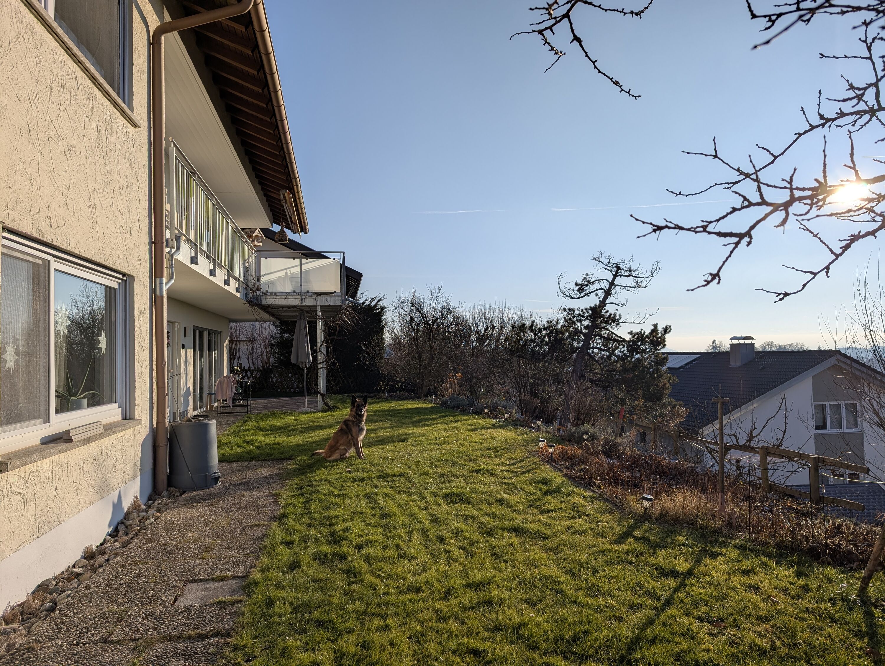 der sonnige Garten