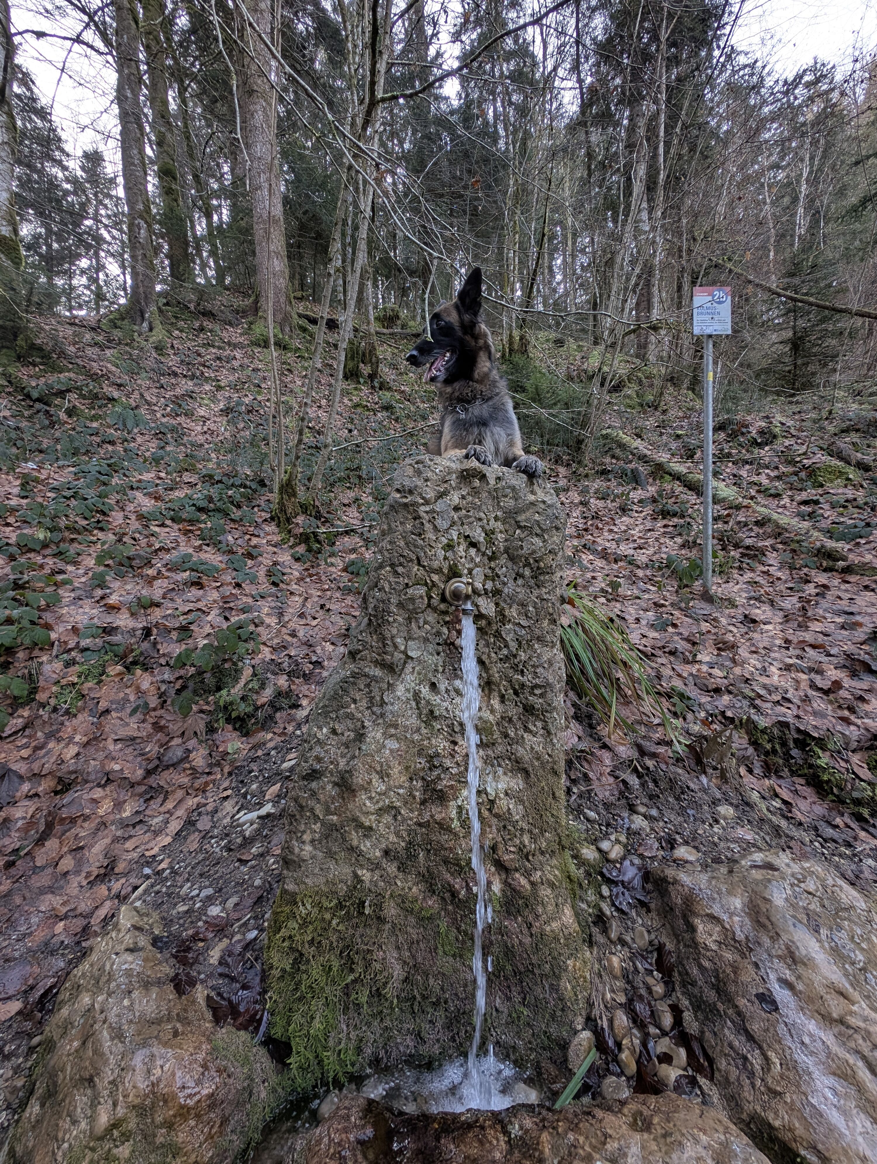 an der "Argen"