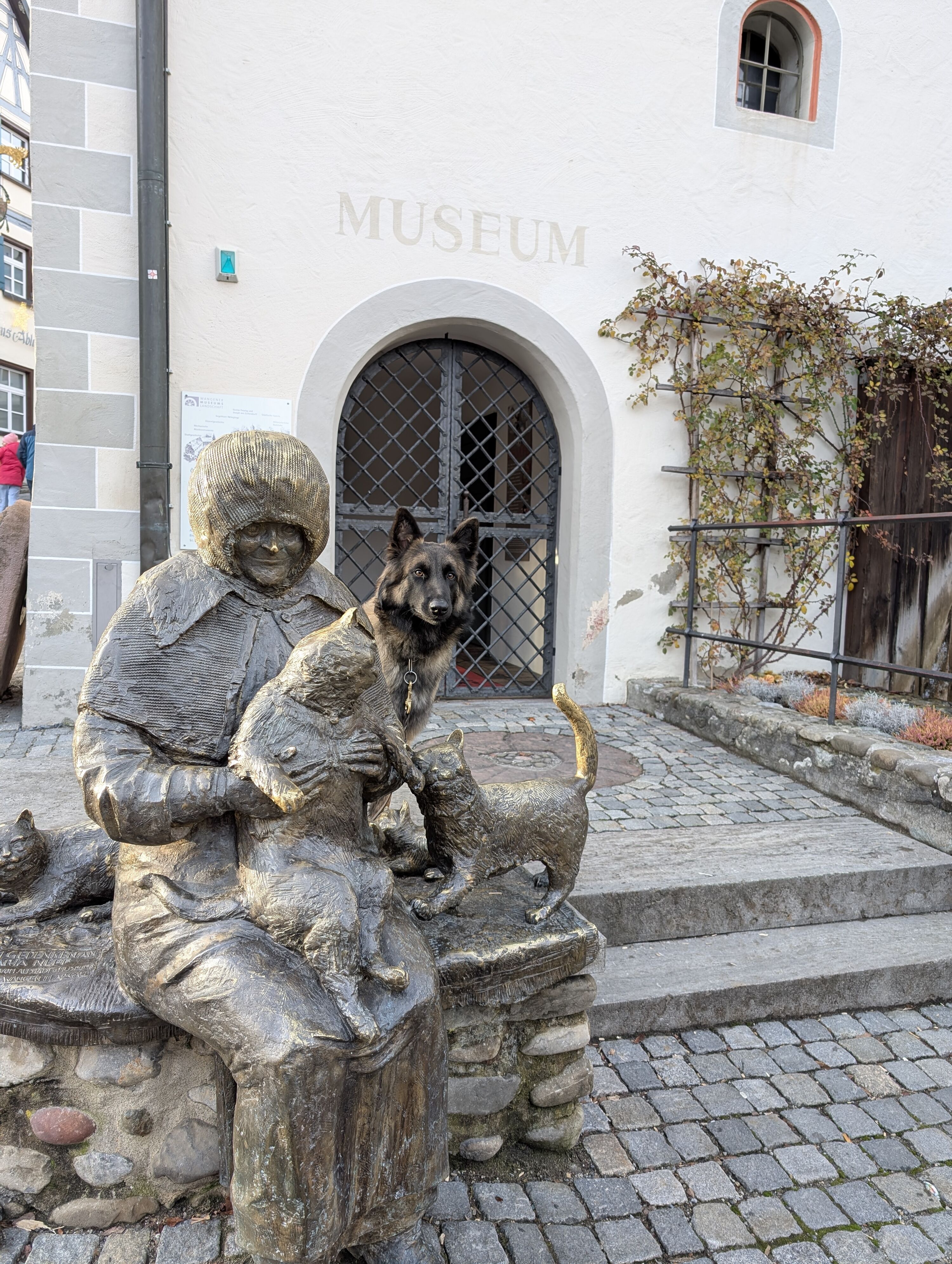 Wangen im Allgäu