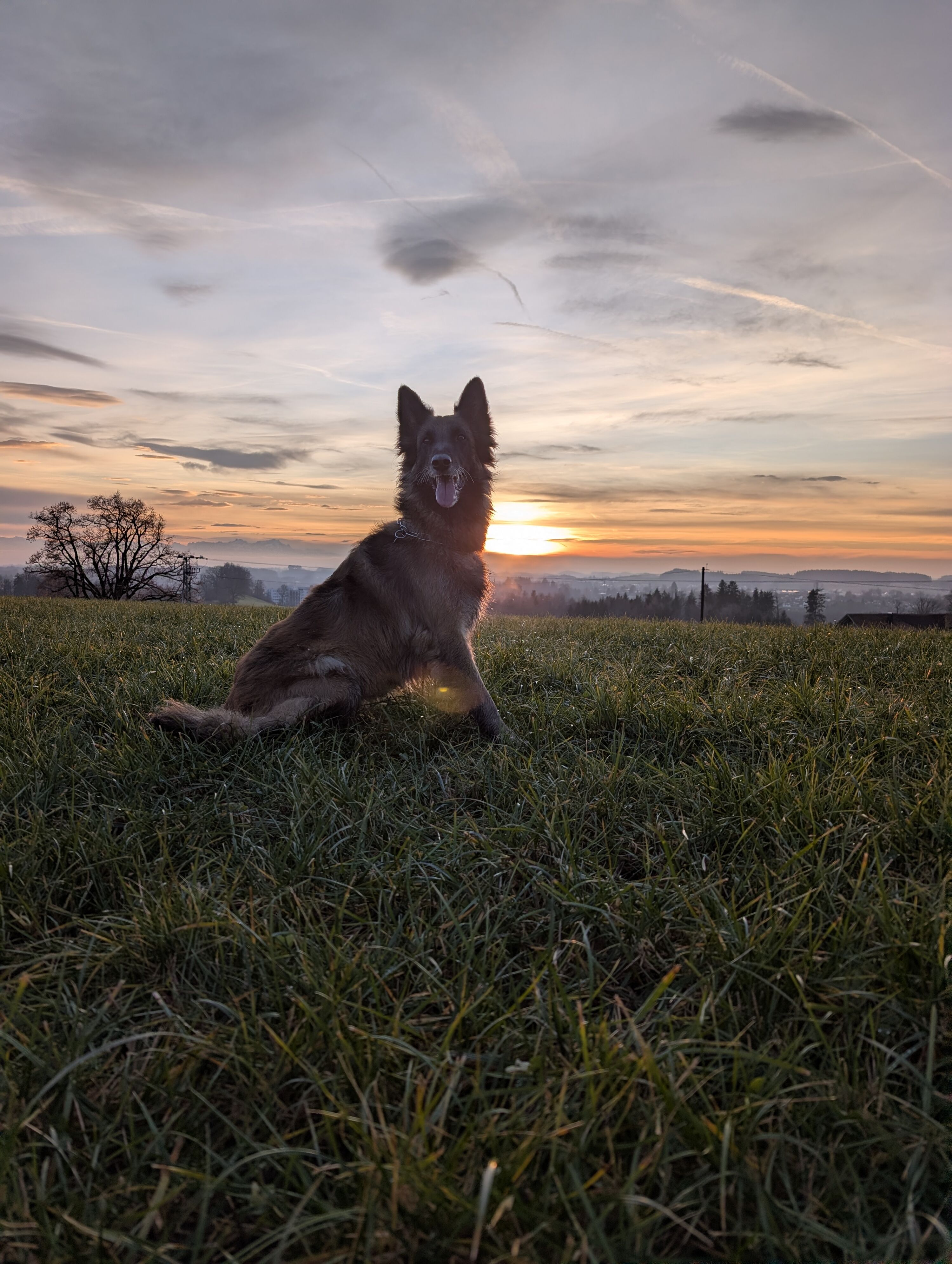 Hunde herzlich willkommen