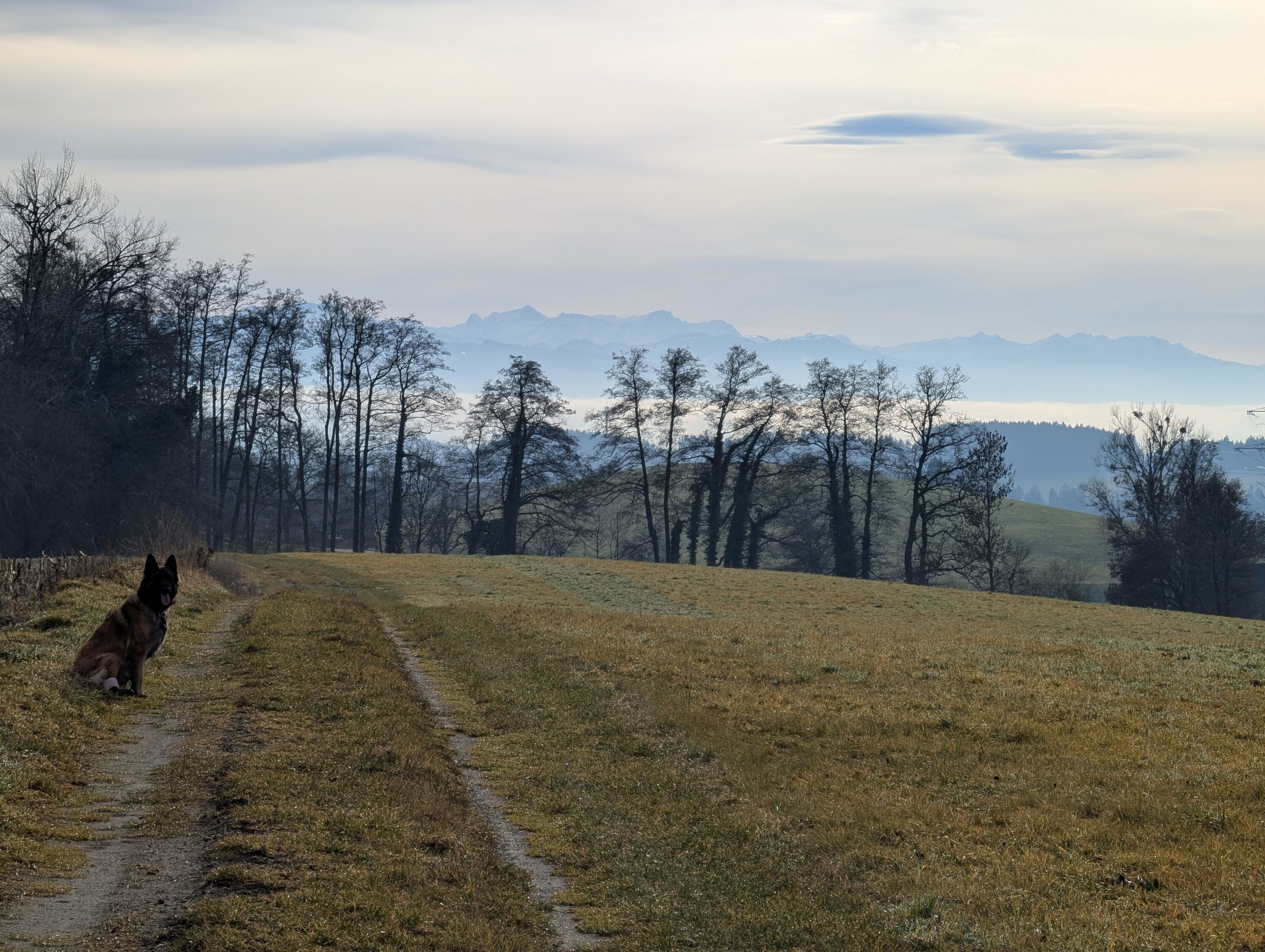 Gassi gehen vom Haus aus möglich
