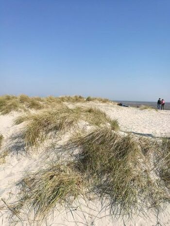 Weitläufiger Sandstrand in Schillig 