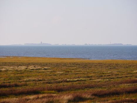 Die Salzwiesen und die Insel Neuwerk, direkt vor der Robbenplate Duhnen
