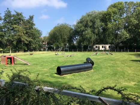 Großzügiger Agilityplatz