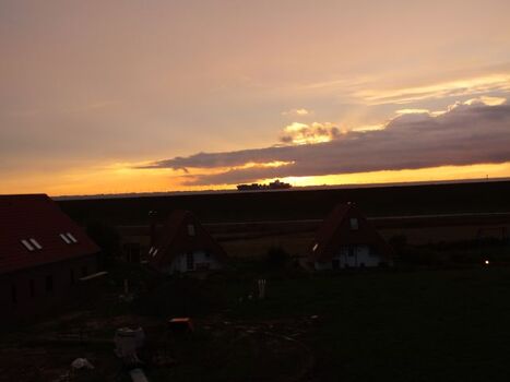 Pötte kieken direkt vom Sofa aus