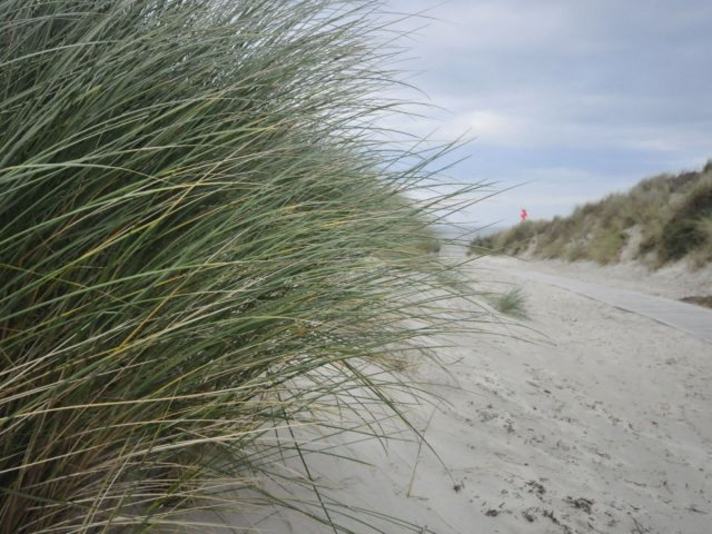 Strandaufgang