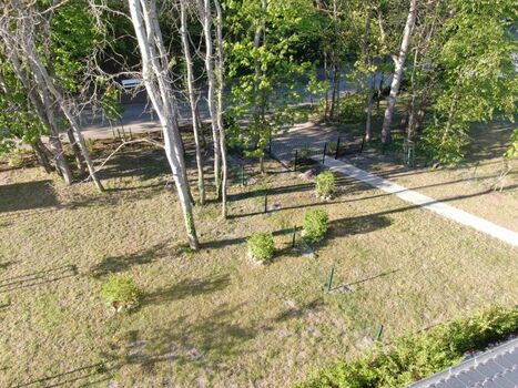 der eingezäunte Garten