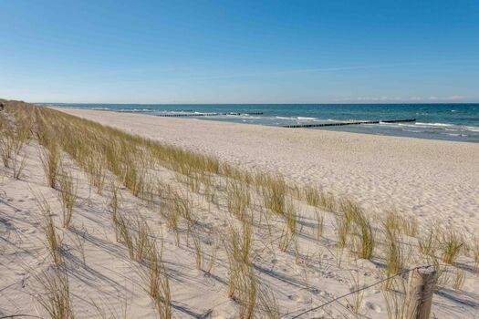 Unfassbar schön. Der Strand von Zingst