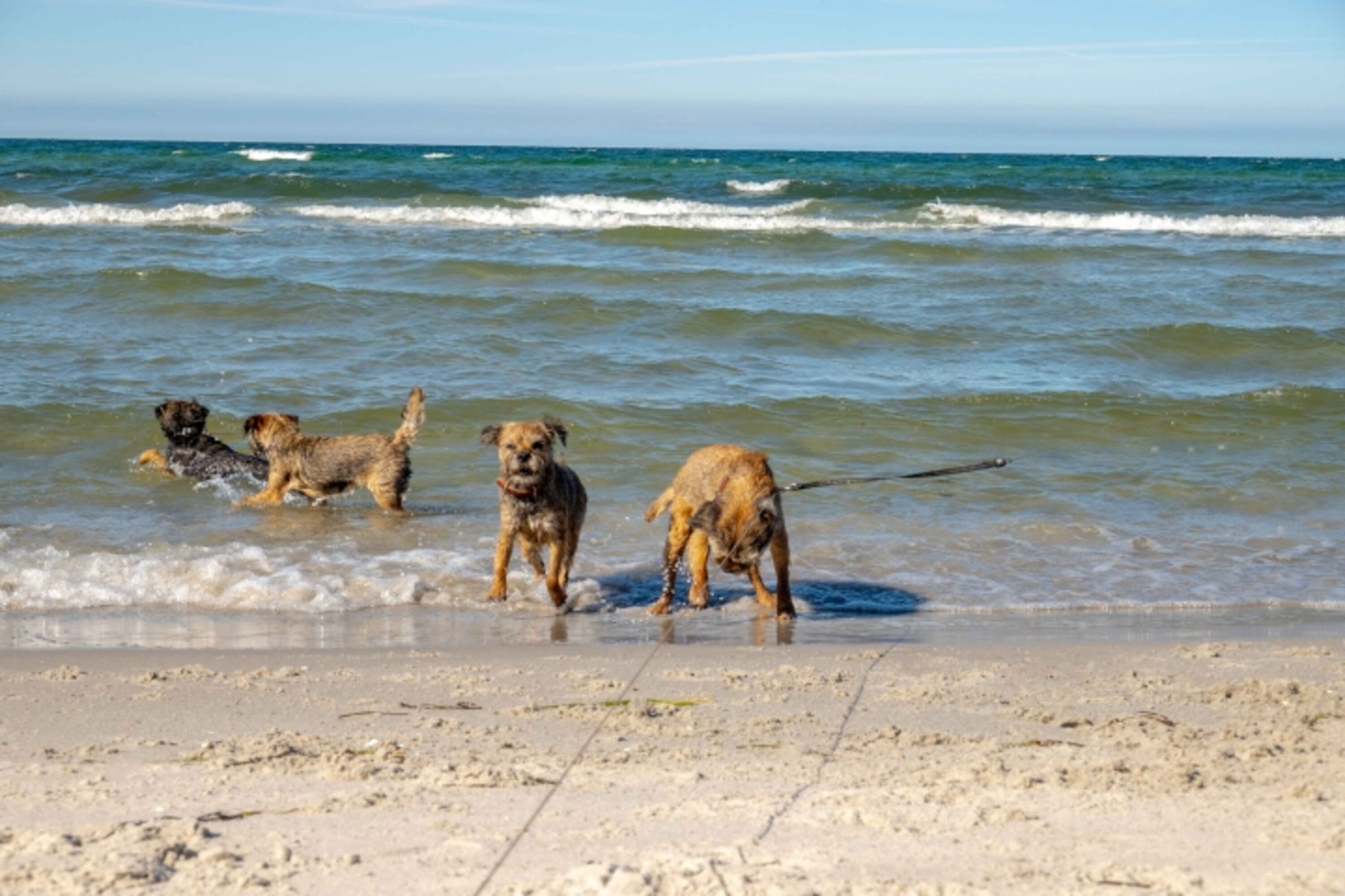 Die Kinder am Strand von Zingst