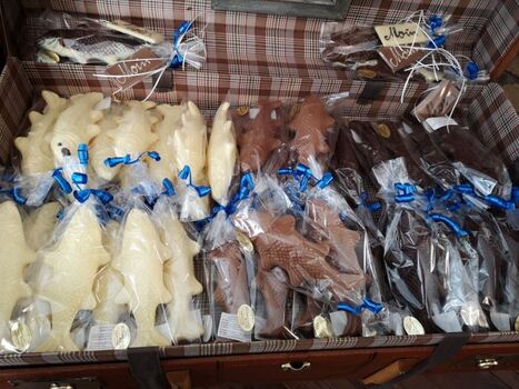 Schokoladenheringe angeln