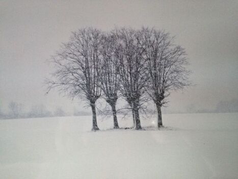 Ländliche Winteridylle