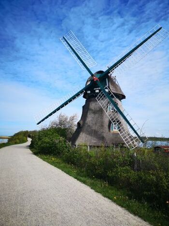 Windmühle in der Birk